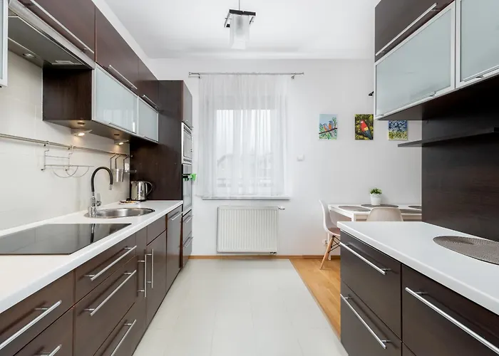 Borkowska Comfort By Bookinghost Apartamento Cracovia